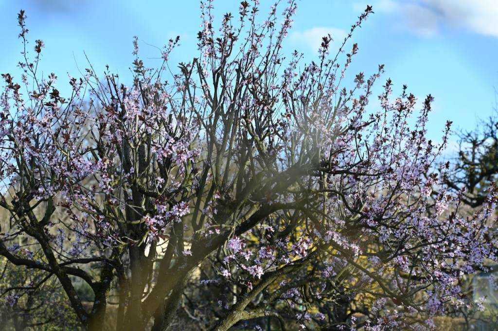 Spring Saturday Stroll