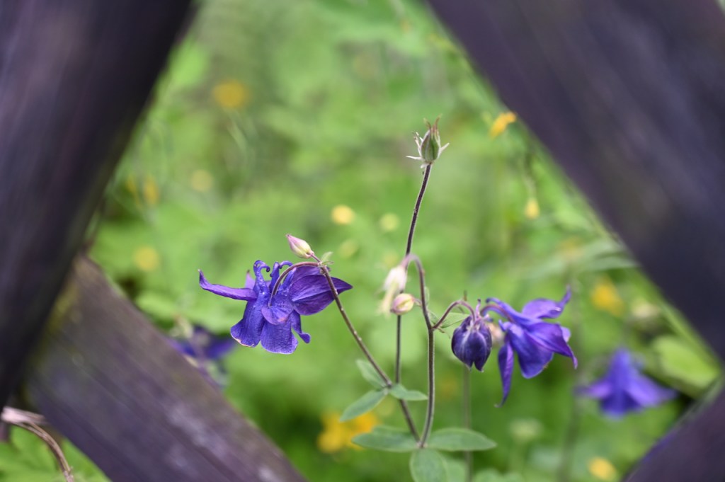 First evening after the ice saints of&nbsp;2023