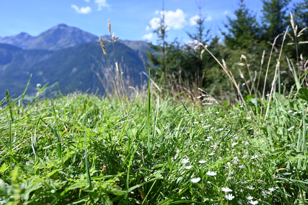 Attempt #2 of biking along the Oetztaler&nbsp;Ache