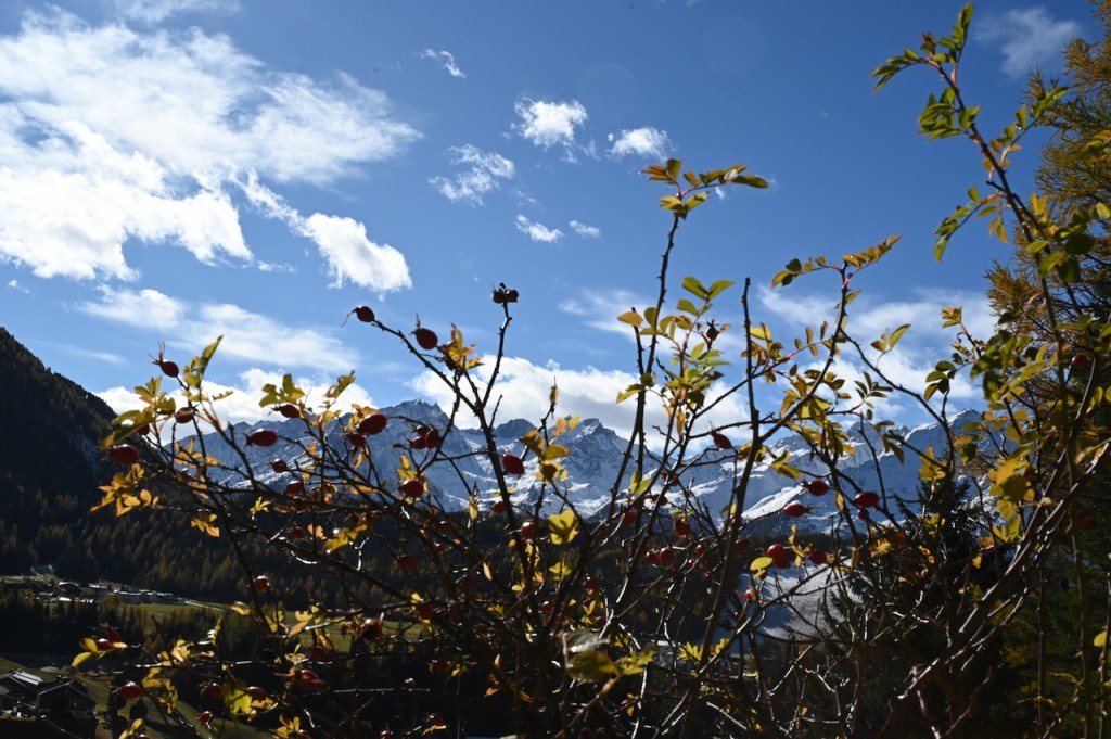 Beautifall in and around Niederthai,&nbsp;Oetzvalley